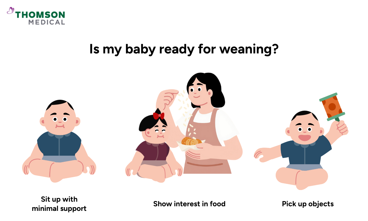 Illustration of whether my baby is ready for weaning