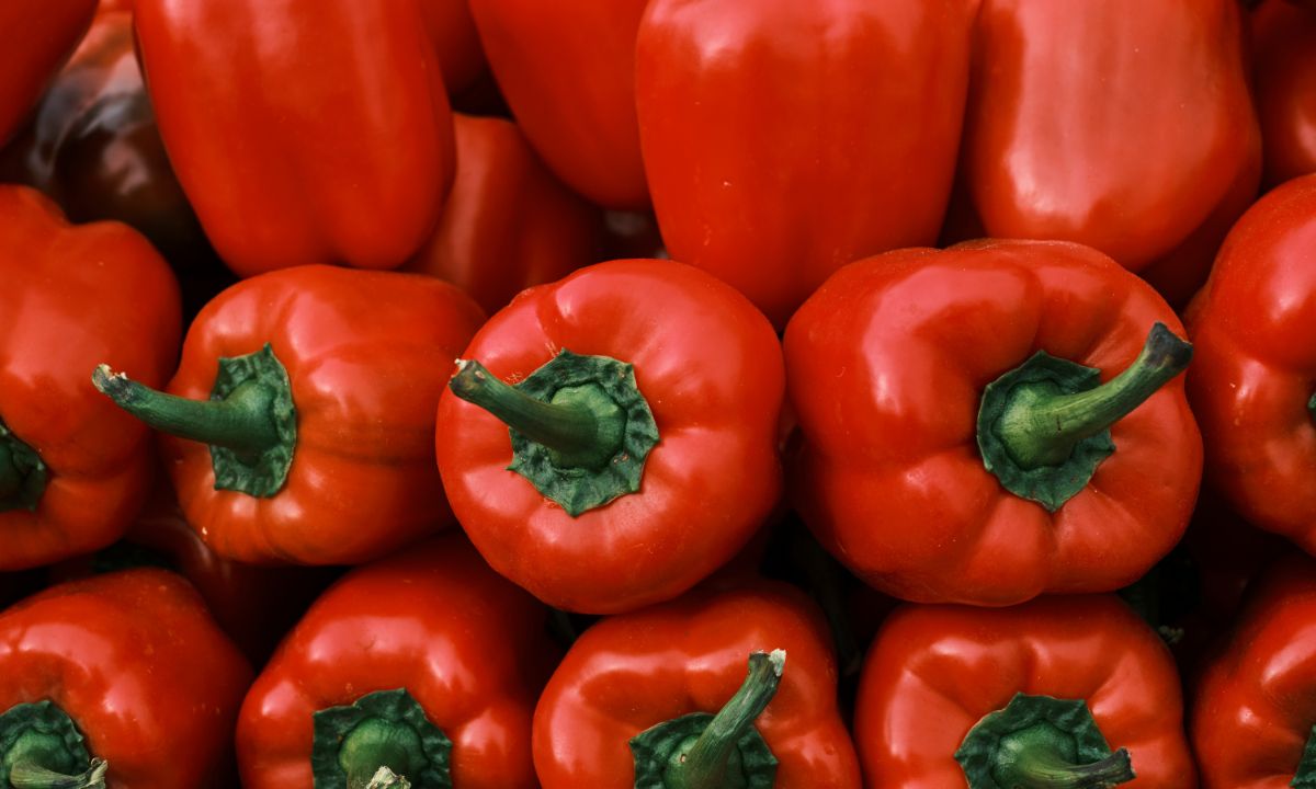 Illustration of sweet potato