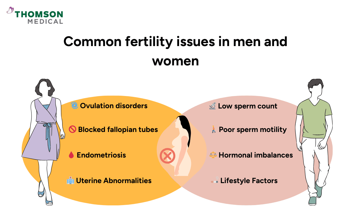 blog-image_screening_fertility-issues-men-and-women.png