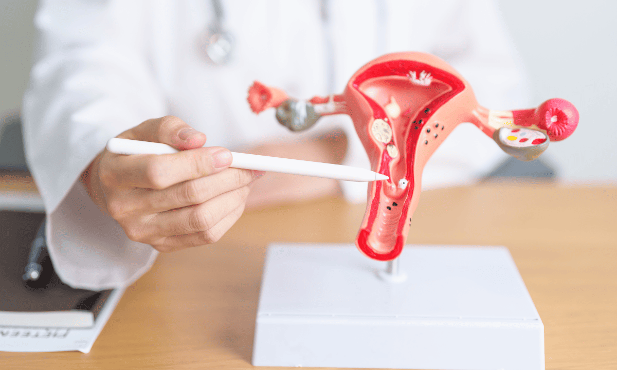 A medical professional pointing a white pen at a cross-section model of the uterus and ovaries.