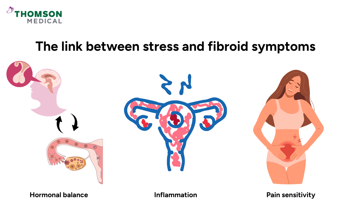 Illustration of the link between stress and fibroid symptoms