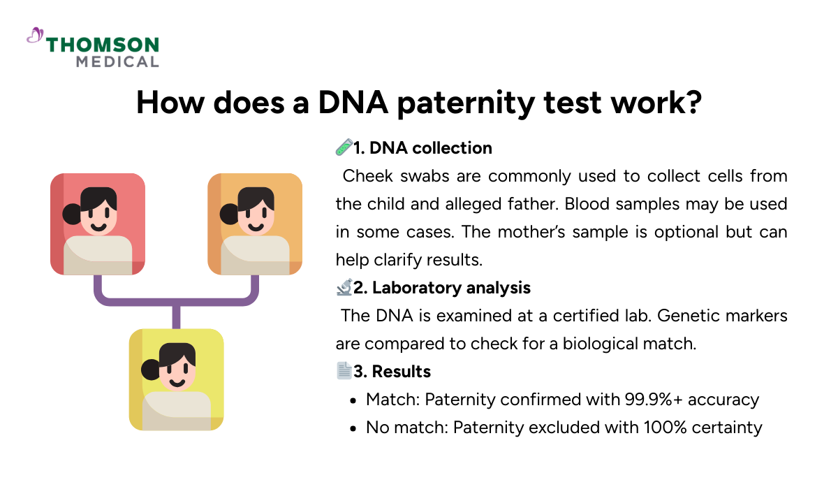 blog-image_screening_how-dna-paternity-test-work.png
