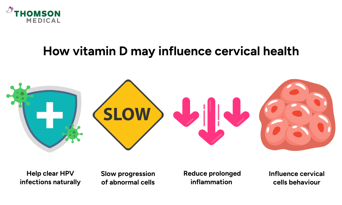 image of role of vitamin D in cervical health