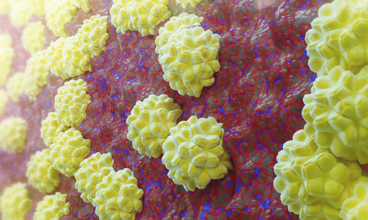 illustration of chlamydia trachomatis bacterium