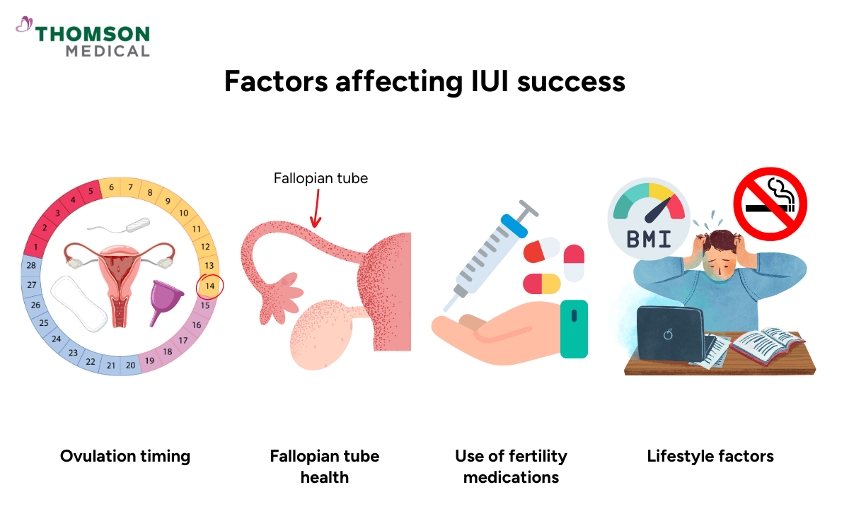 Factors affecting IUI success