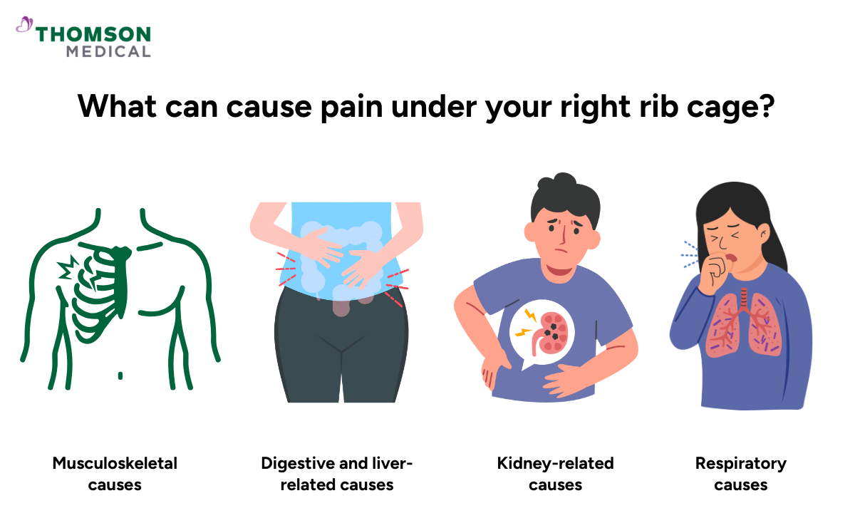 Illustration of what can cause pain under your right rib cage