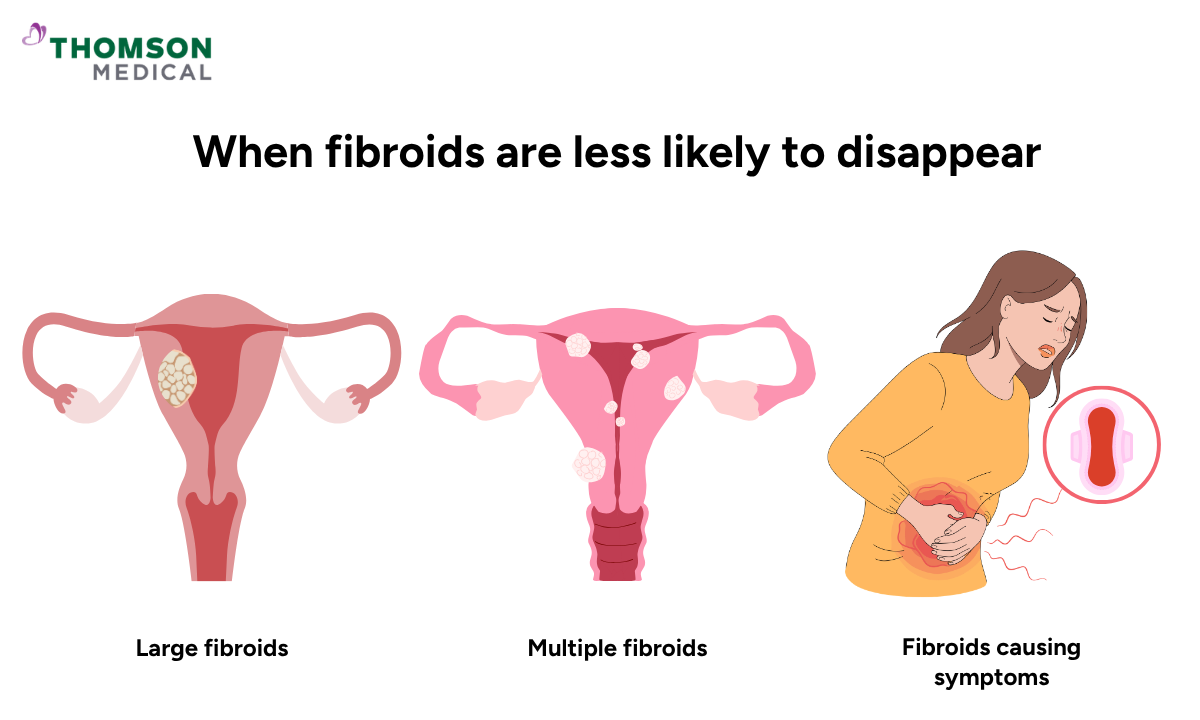 Illustration of when fibroids are less likely to disappear