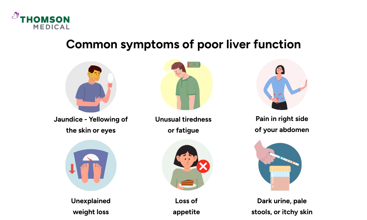 blog-image_screening_symptoms-poor-liver-function.png
