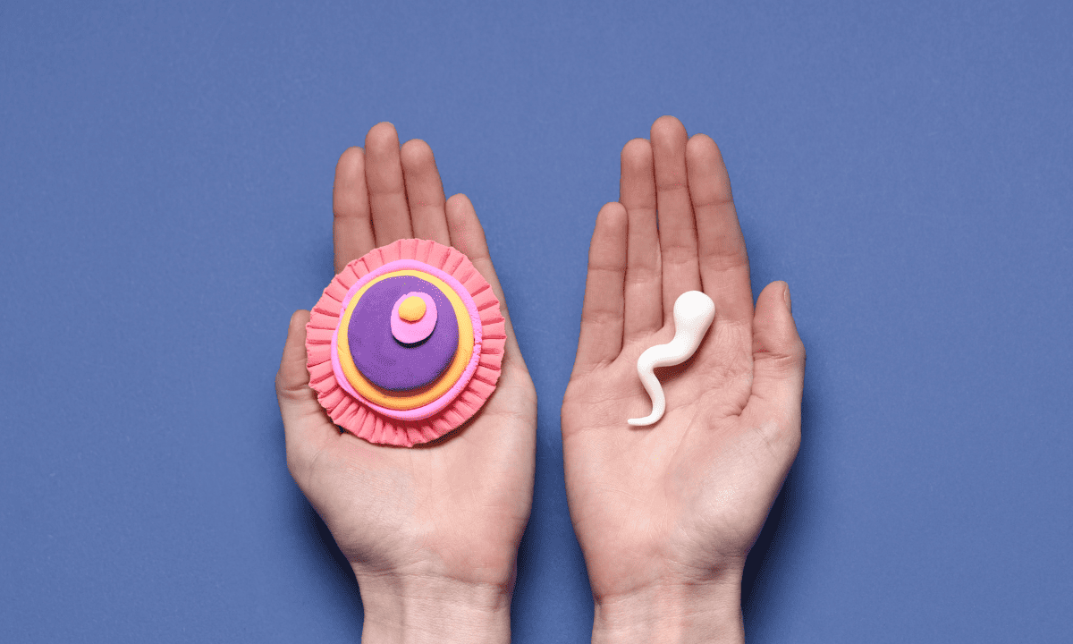 A stylized representation of an ovum (egg cell) and a sperm cell, each held in an open palm against a blue background