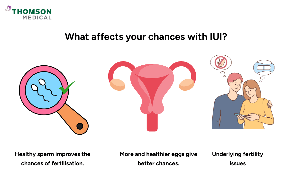 blog-image_obgyn_factors-influencing-iui-success.png