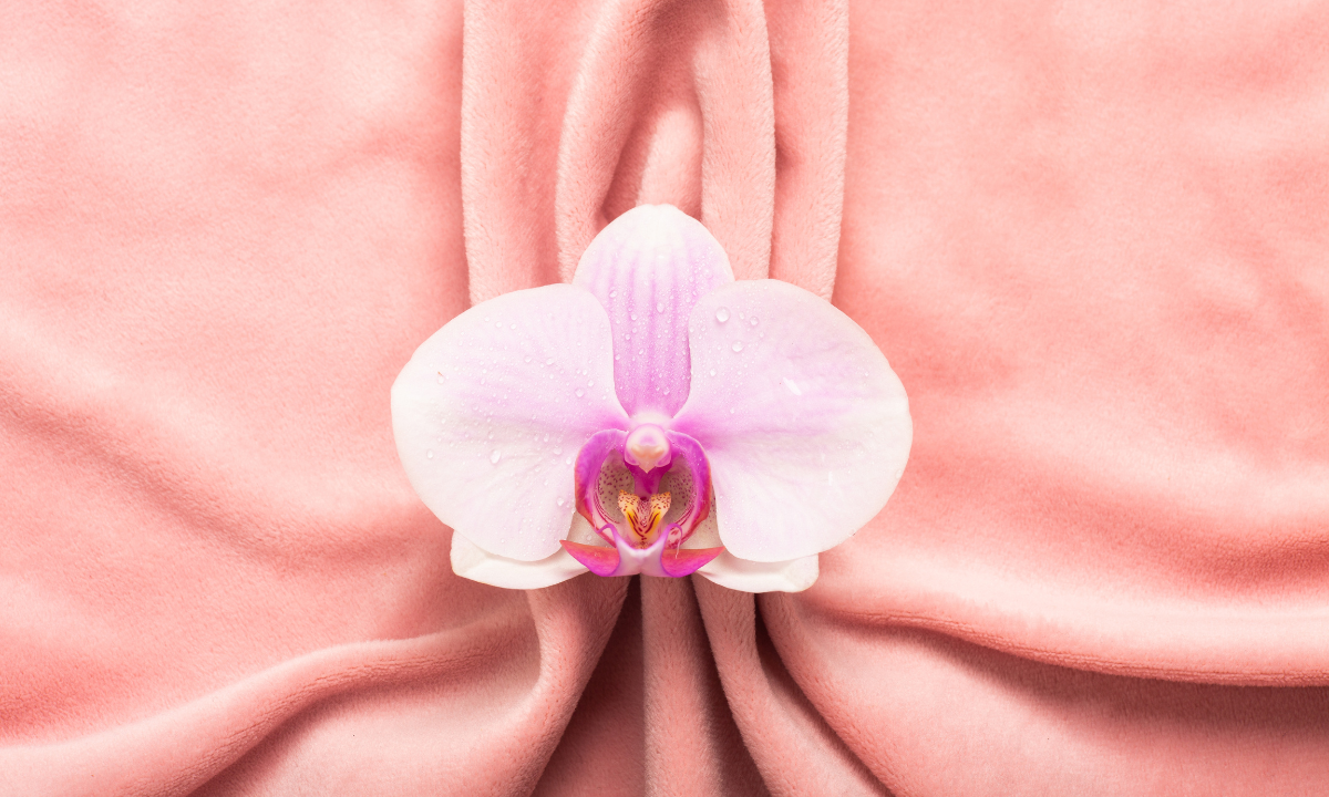 Pink orchid flower resting on draped pink fabric.