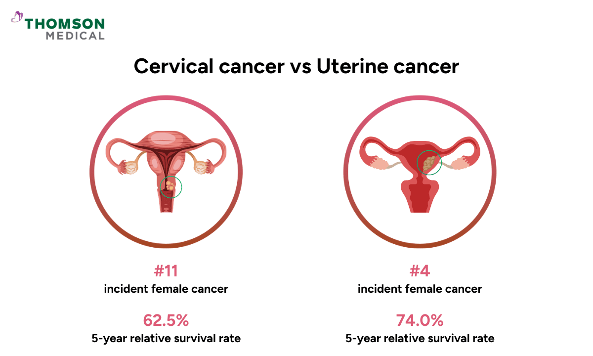 illustration of comparision between cervical cancer and uterine cancer