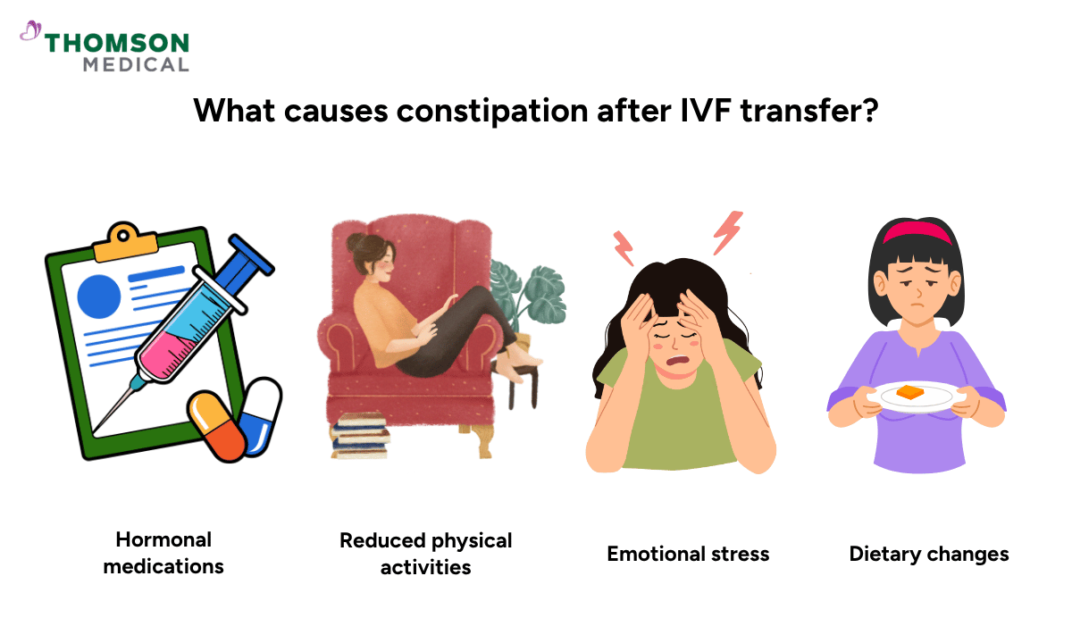 illustration of what causes constipation after IVF