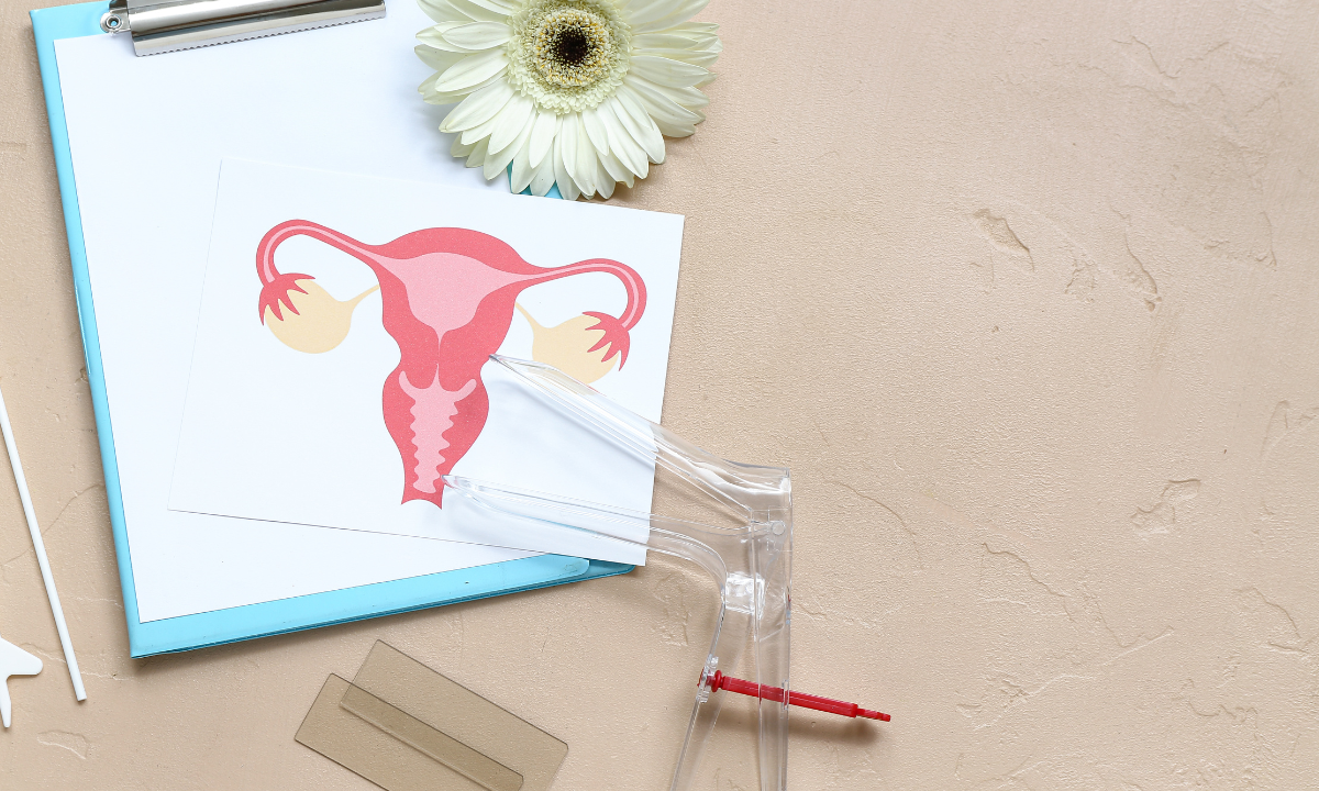Illustration of a uterus 
