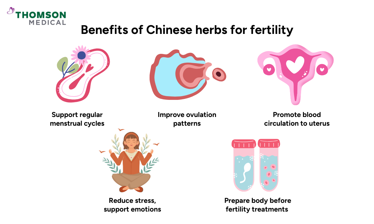 illustration of benefits of Chinese herbs for fertility