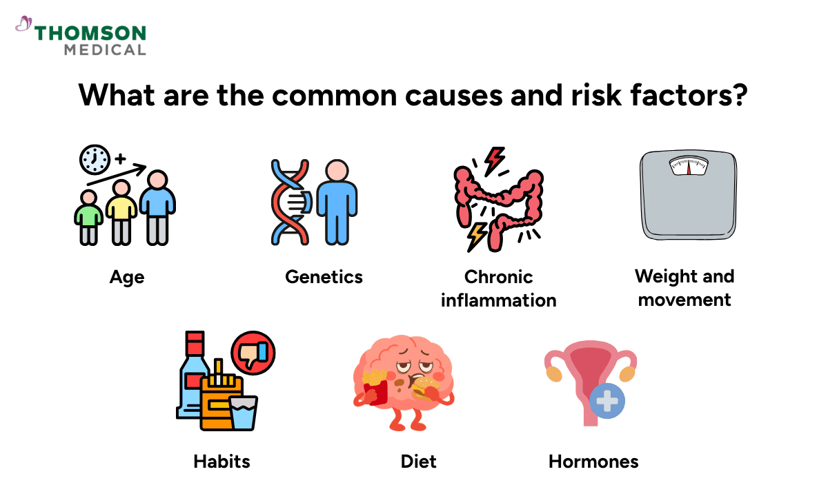 Infographic on the common causes and risk factors, showing icons for Age, Genetics, Chronic inflammation, Weight and movement, Habits, Diet, and Hormones