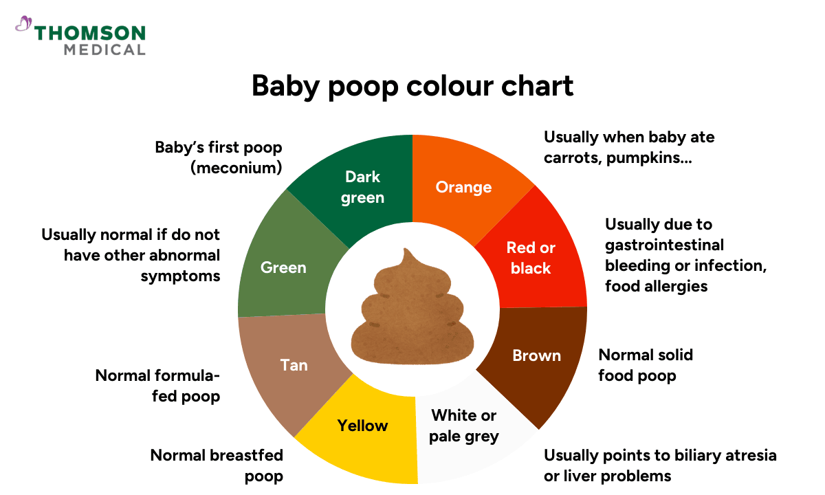 image of baby poop colour chart