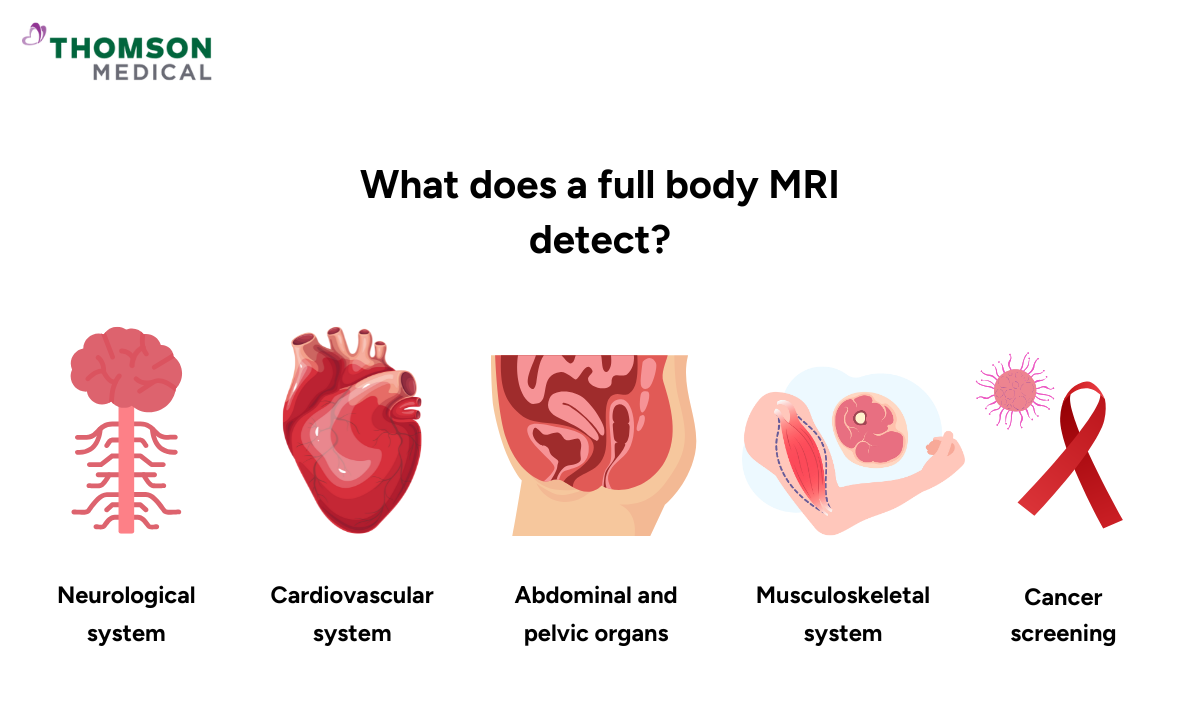 blog-image_screening_full-body-mri-scan-detect.png