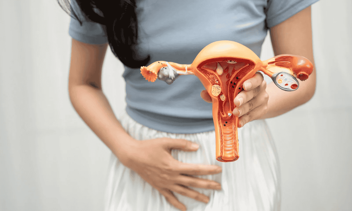 image of women's holding the women's reproductive organ model