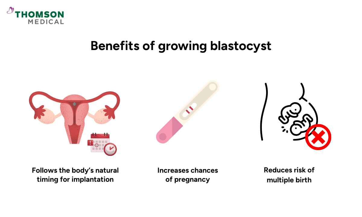 Benefits of growing blastocyst