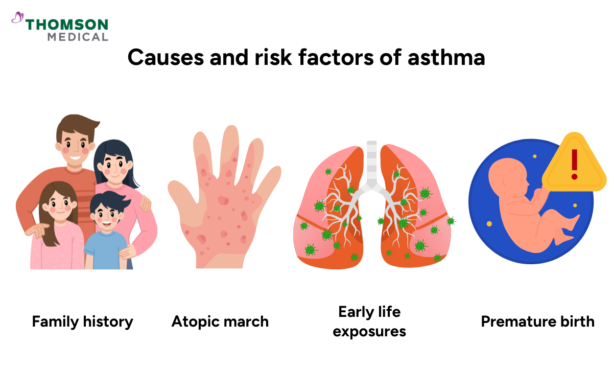 Infographics on causes and risks factors of asthma
