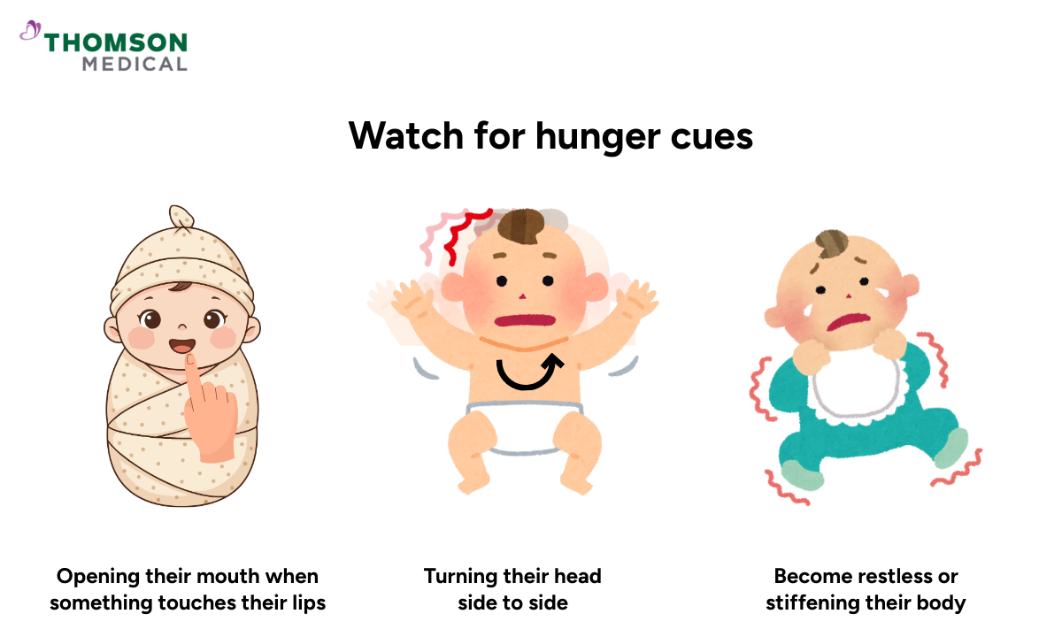 Illustration of how to watch for hunger cues in a newborn baby