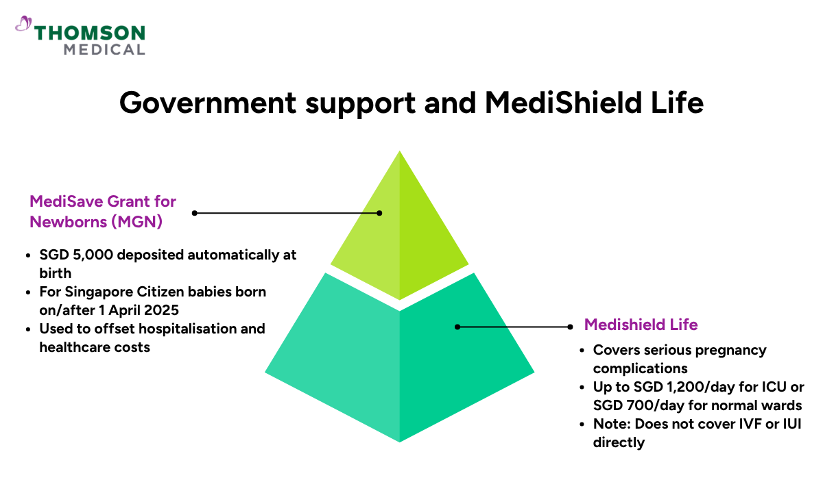 Illustration of government support and MediShield Life