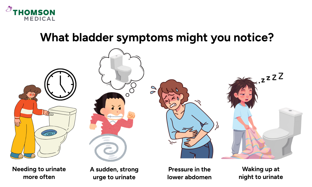 Illustration of the bladder symptoms might you notice