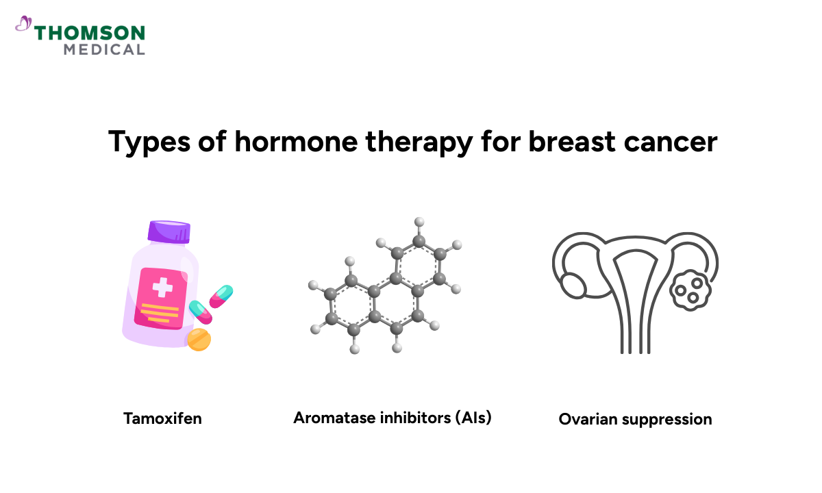 Infographic showing types of hormone therapy for breast cancer