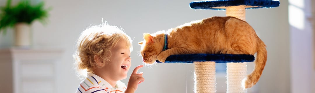 baby playing with a relaxed orange cat