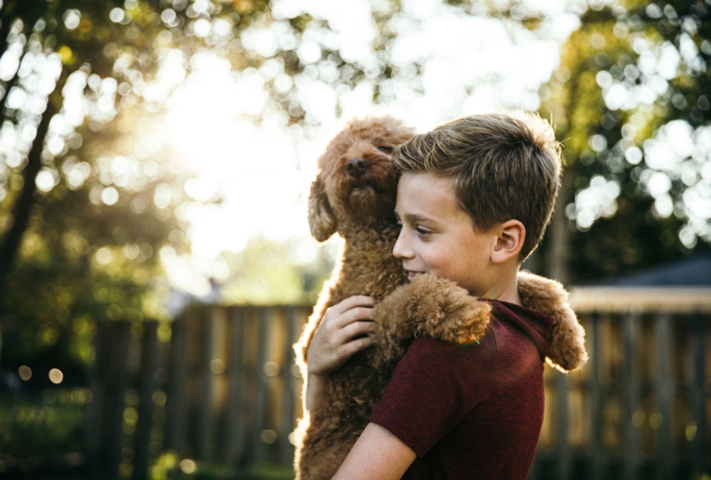 insurance-resources-for-pet-parents-progressive