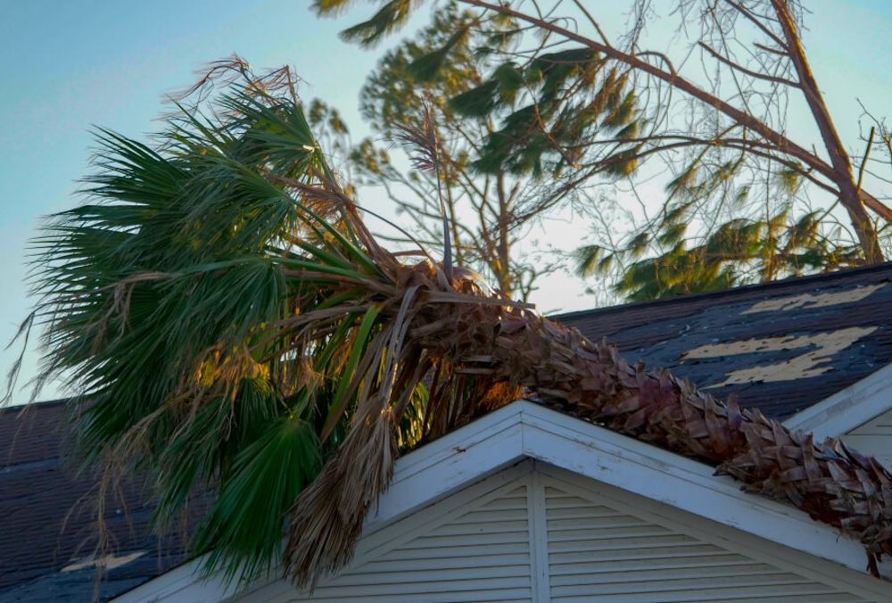 What's Covered Severe Weather & Catastrophes Progressive