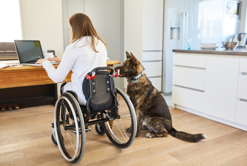 making-insurance-policy-changes-progressive