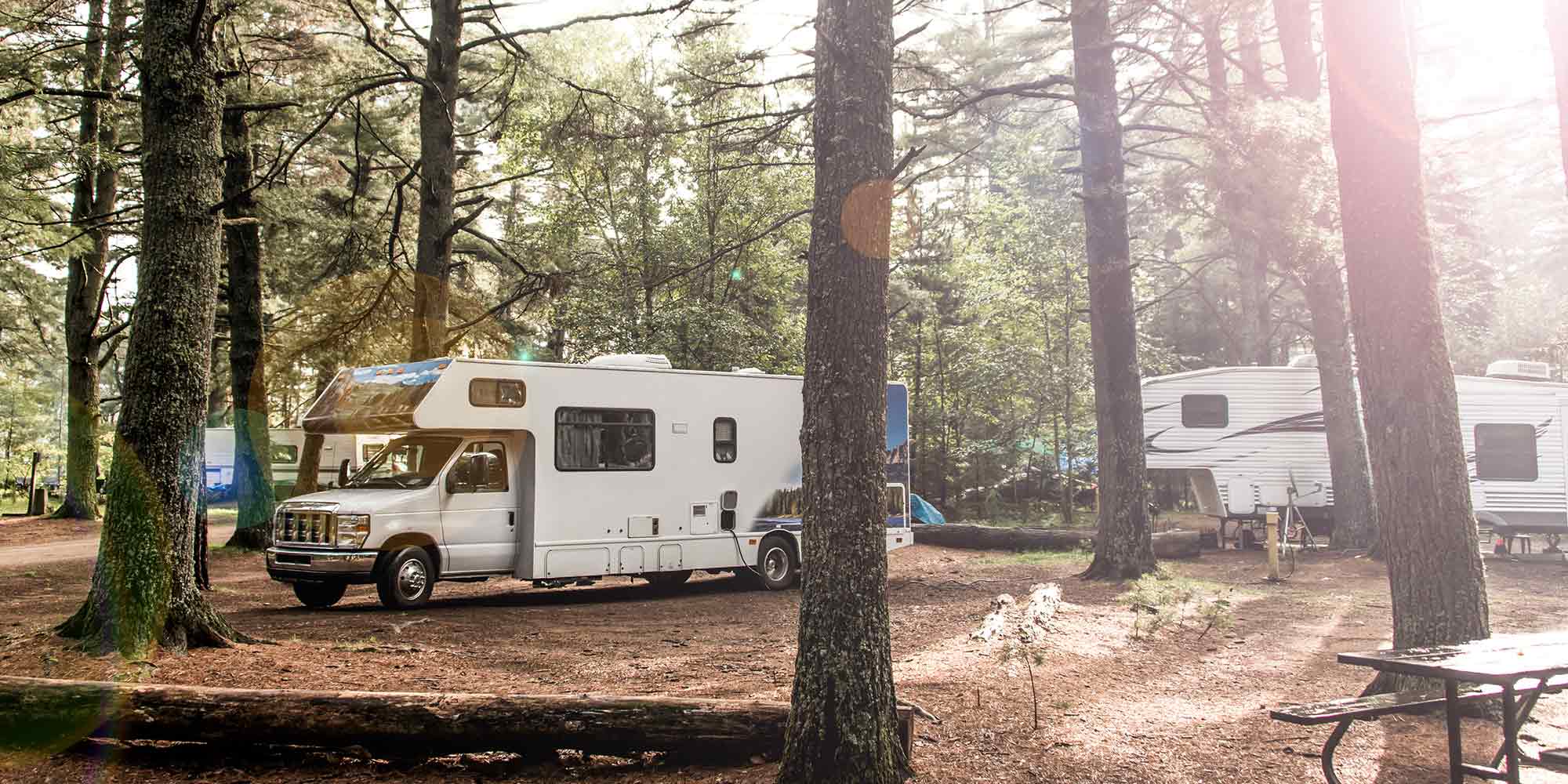 How To Keep Mice Out of Campers Progressive