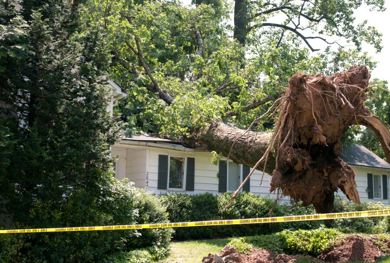 What's Covered: Home Incidents & Repairs | Progressive