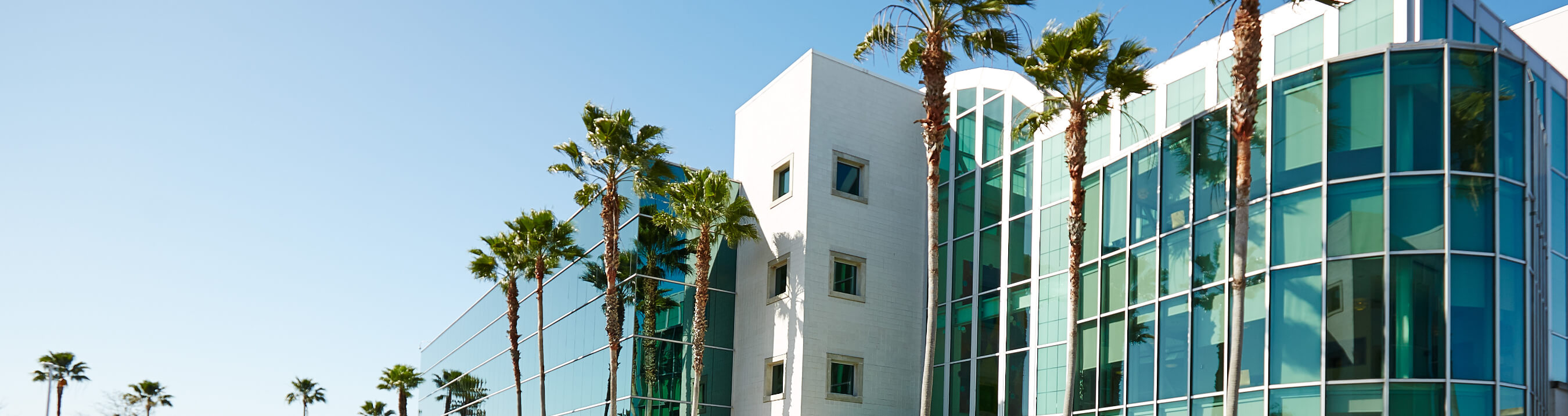 Insurance in Tampa, Florida | Progressive