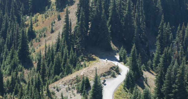 Washington Motorcycle Insurance | Progressive