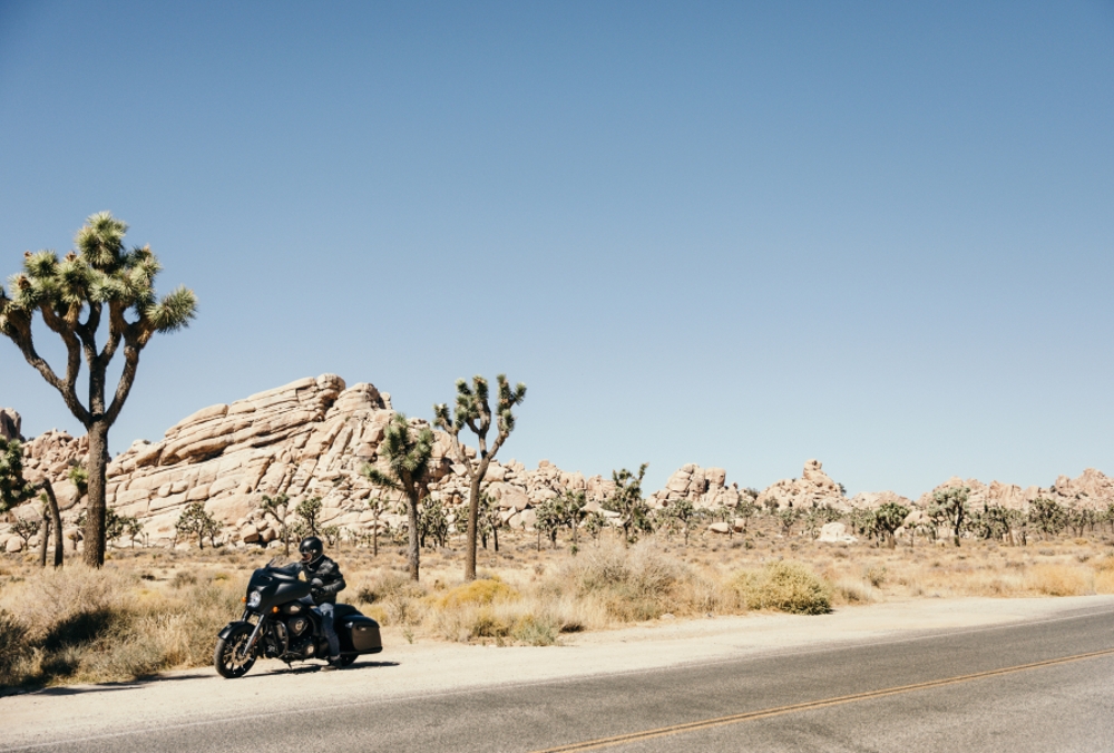 Motorcycle Insurance Information & Articles Progressive