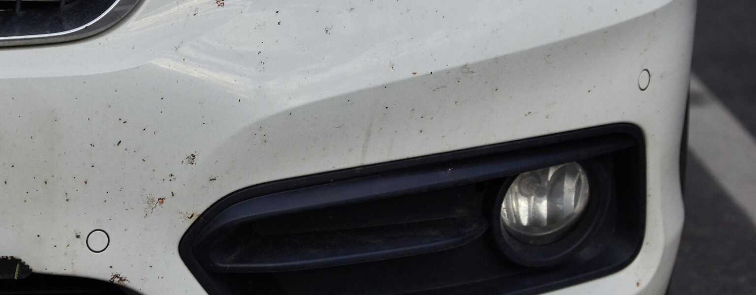 Does Car Insurance Cover Scratches and Dents?