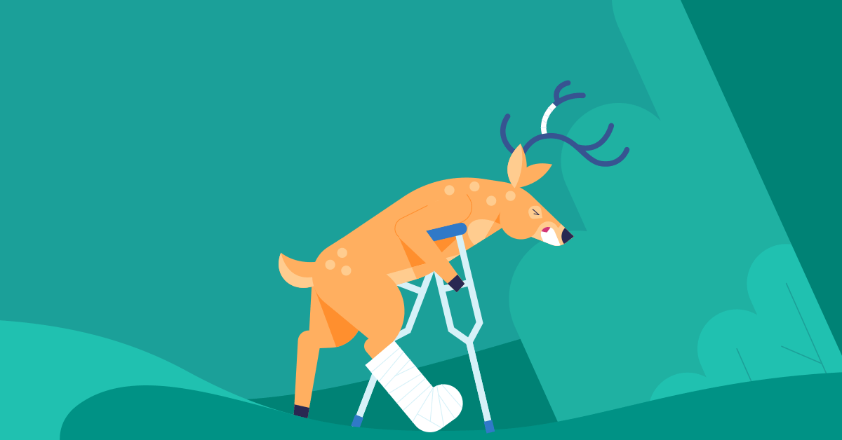 Does Insurance Cover Hitting A Deer? | Progressive