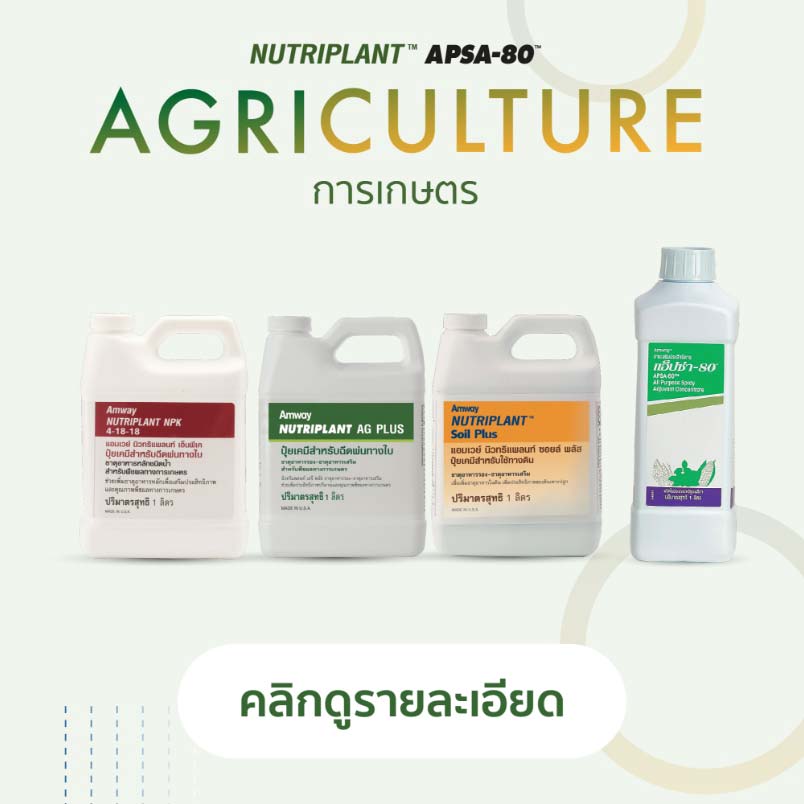 Agriculture การเกษตร