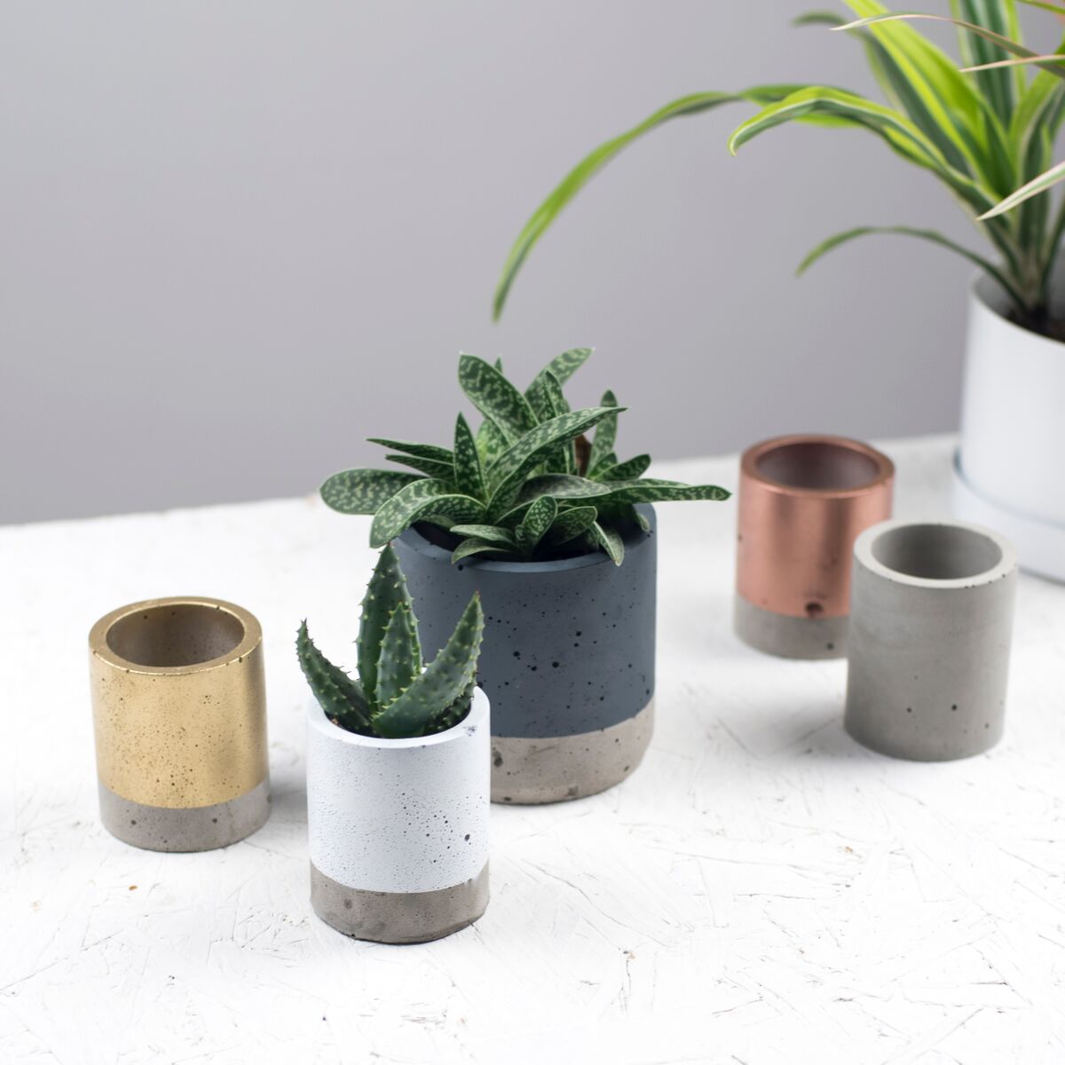 Colour block planter