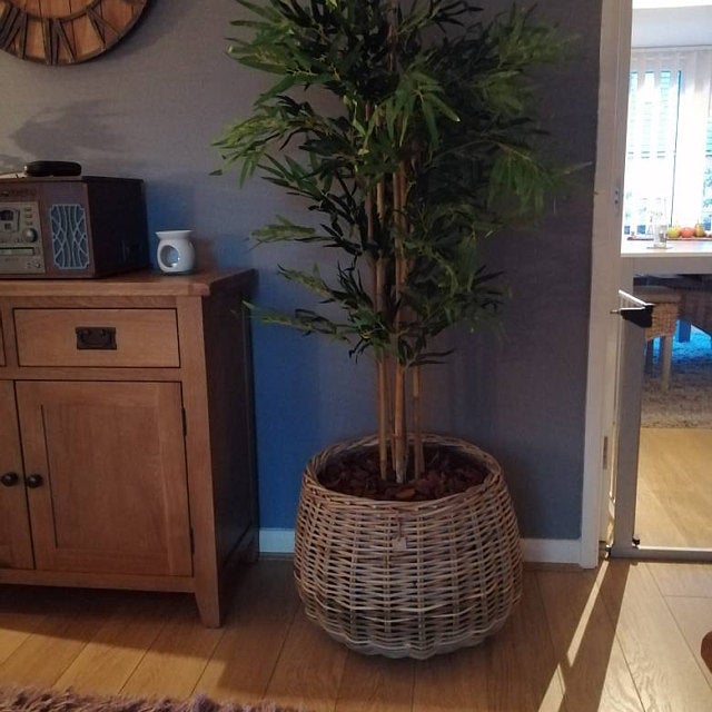 Artificial Plants & Planters