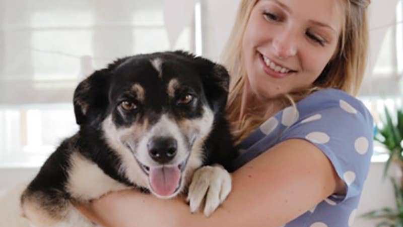Rose Hall founder of Postbox Party holding her dog