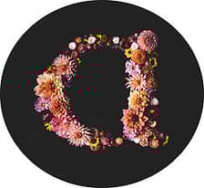 Anemone Fine Art Prints logo