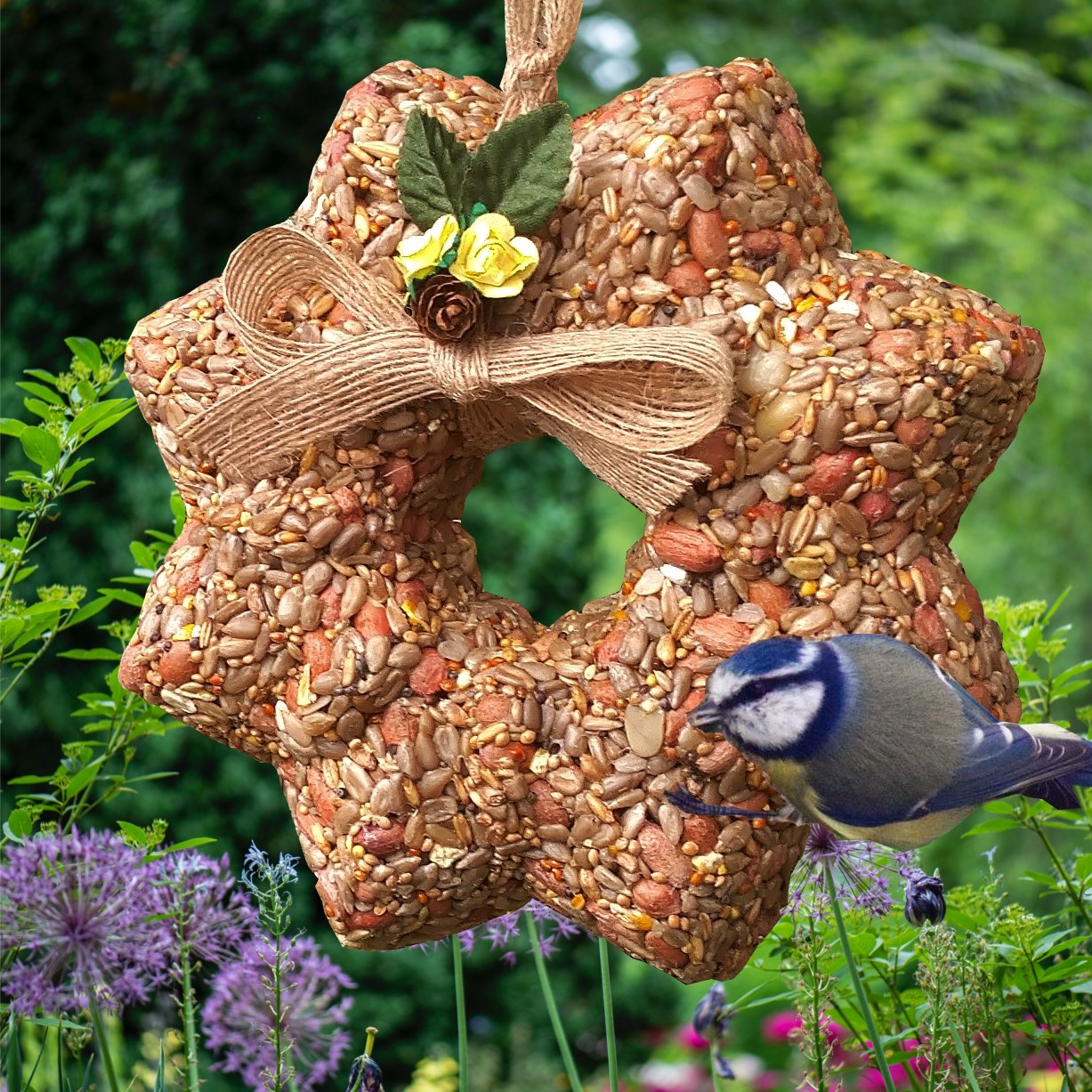 Large Bird Seed Wreath