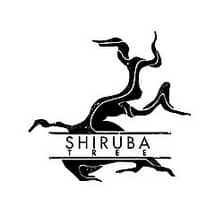 Shiruba Tree logo