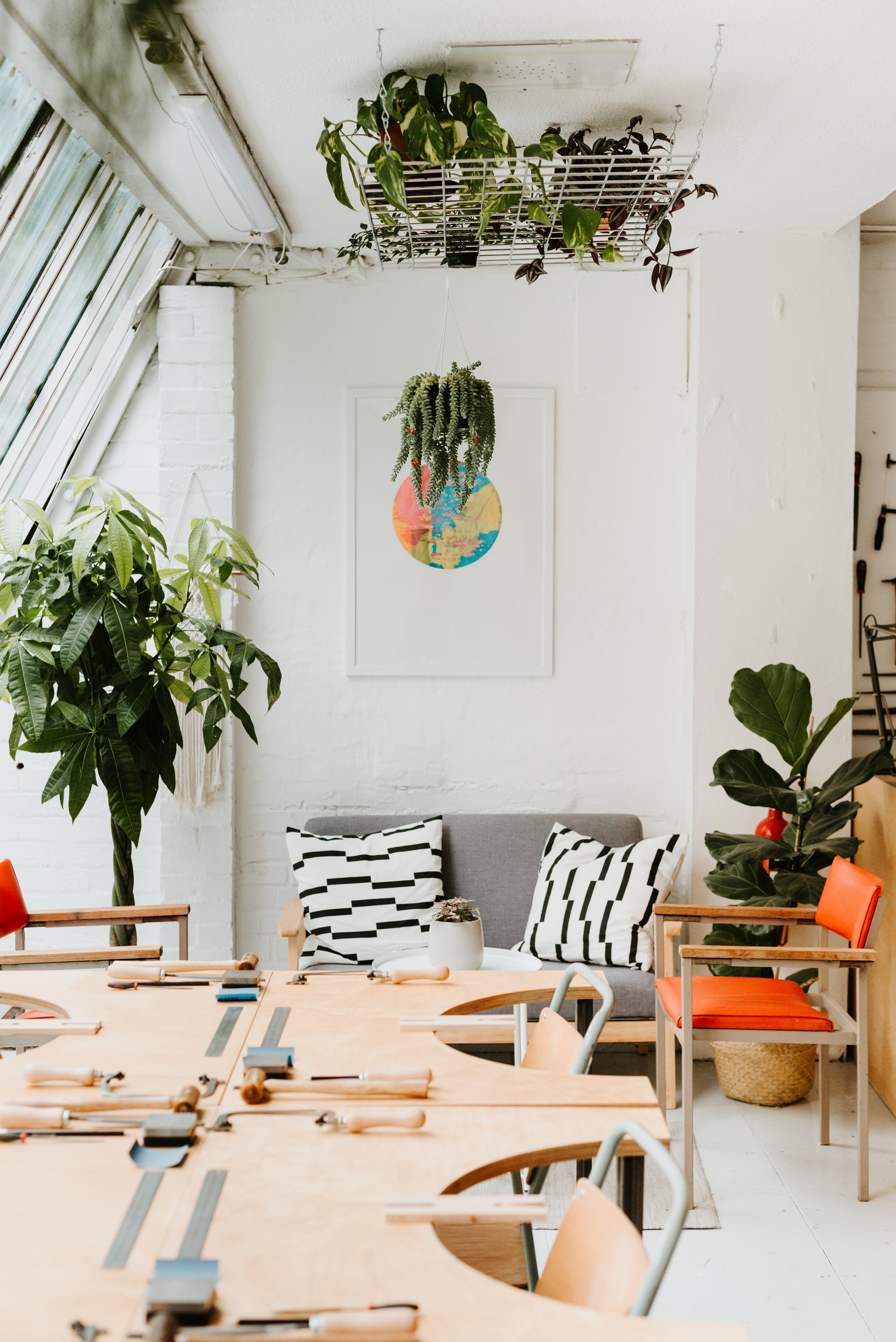 Our sunny plant filled studio in Norwich, Norfolk