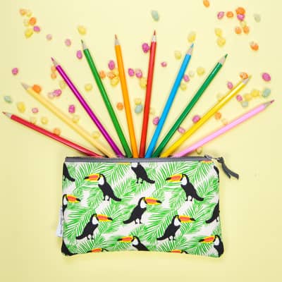 Toucan Pencil Case