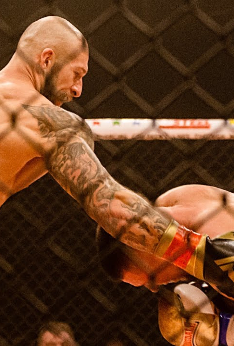 Prym Health Ambassador